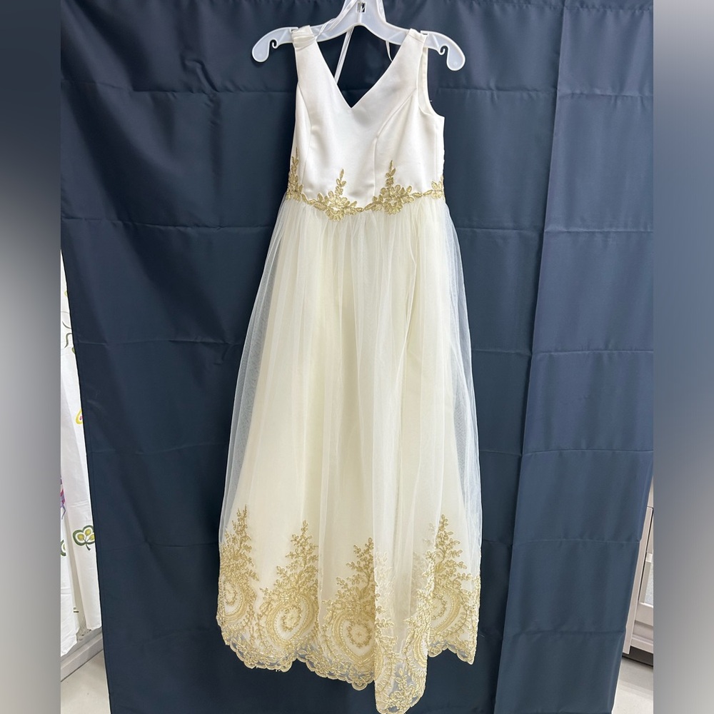 NWT DB Studio cream and gold dress